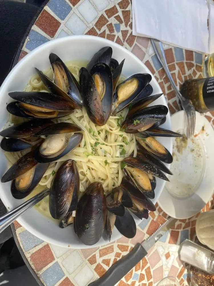 Muscles Liguini